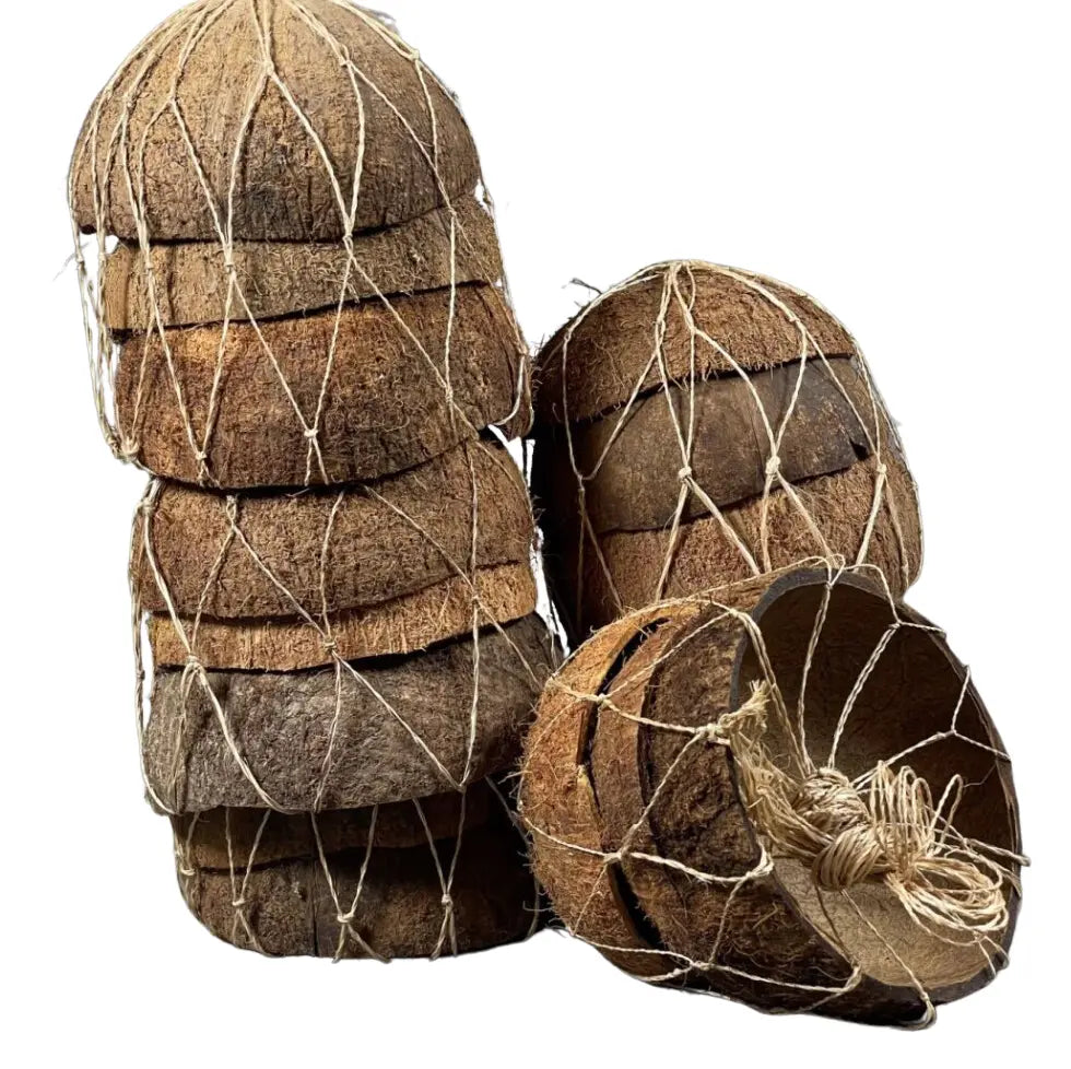 Raw Coconut Shell for Crafting and DIY Projects CocoEco