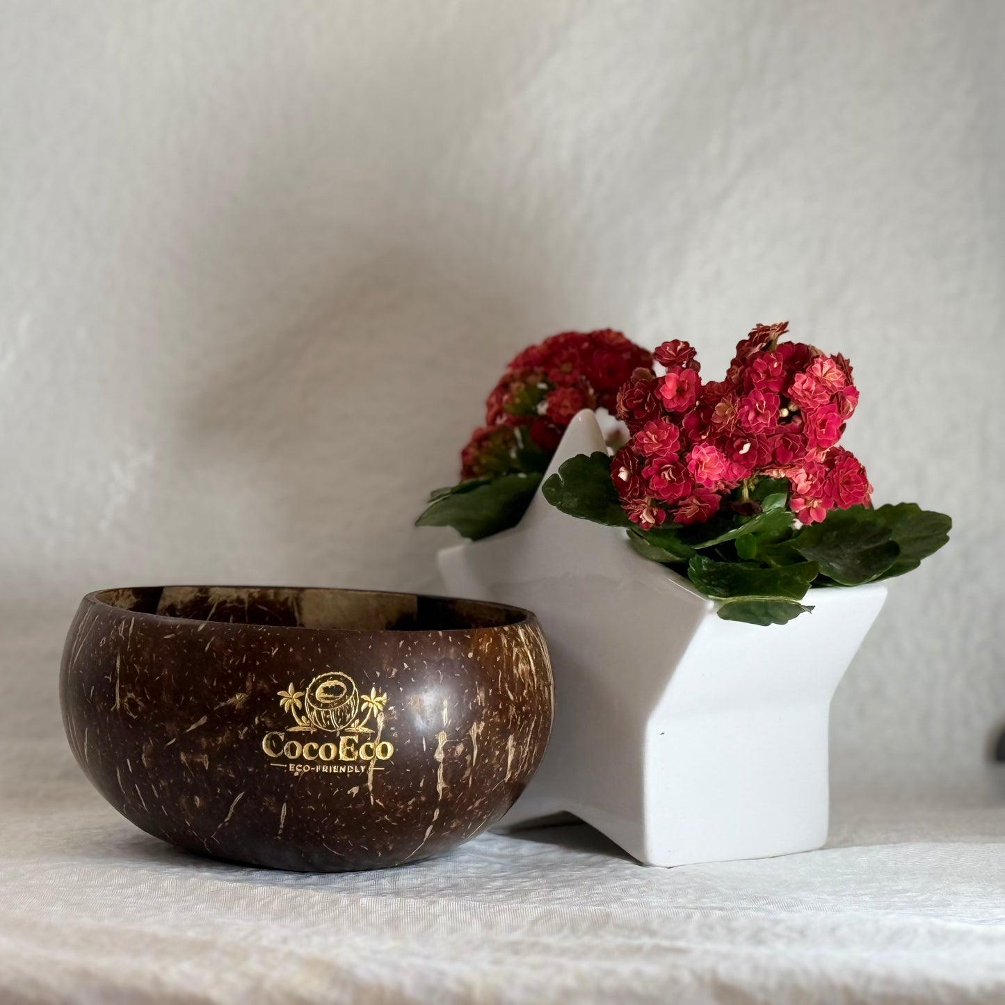 Artisanal Coconut Bowl with Spoon - 500 ml CocoEco