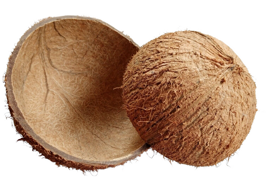 Raw Coconut Shell for Crafting and DIY Projects
