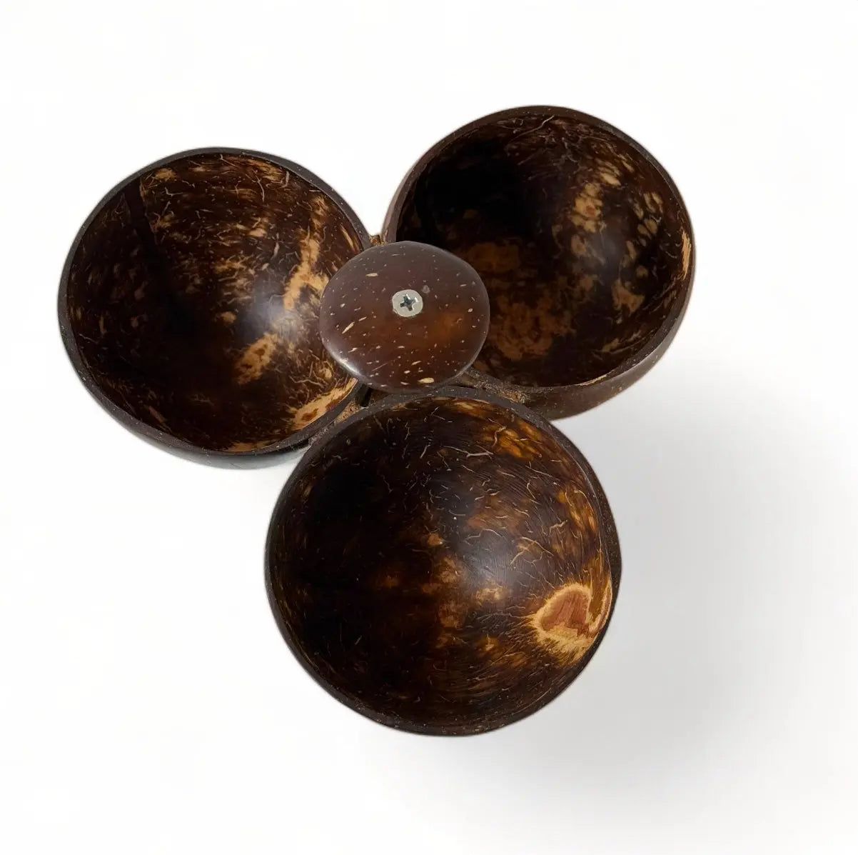 Artisanal Coconut Shell Triple Bowl Serving Set with Spoons CocoEco