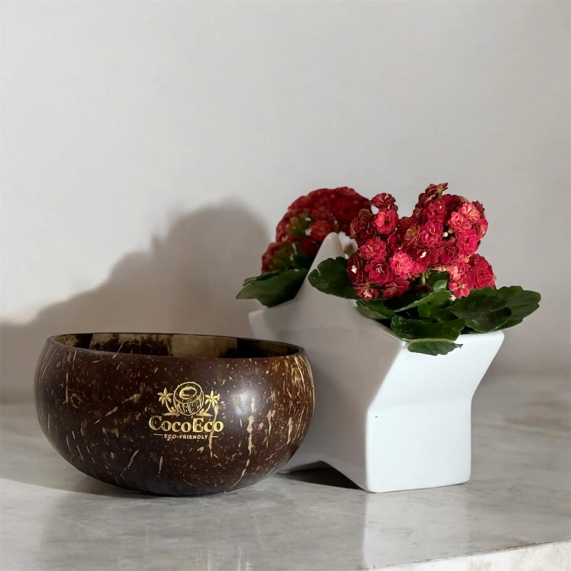Artisanal Jumbo Coconut Bowl Set with Spoon & Fork - 900ml CocoEco